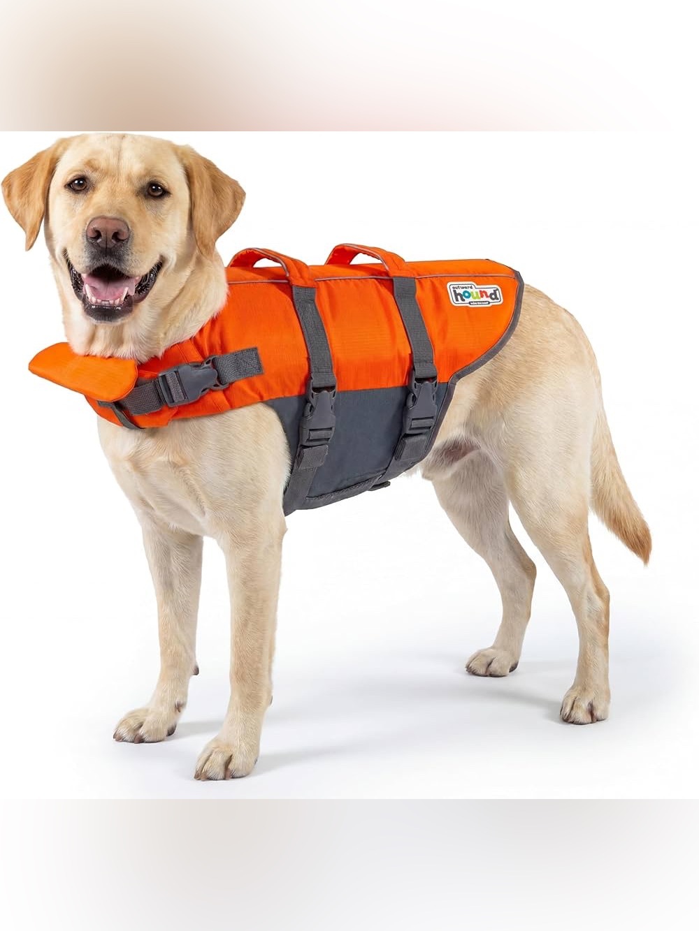 Outward Hound Granby Splash Dog Life Jacket